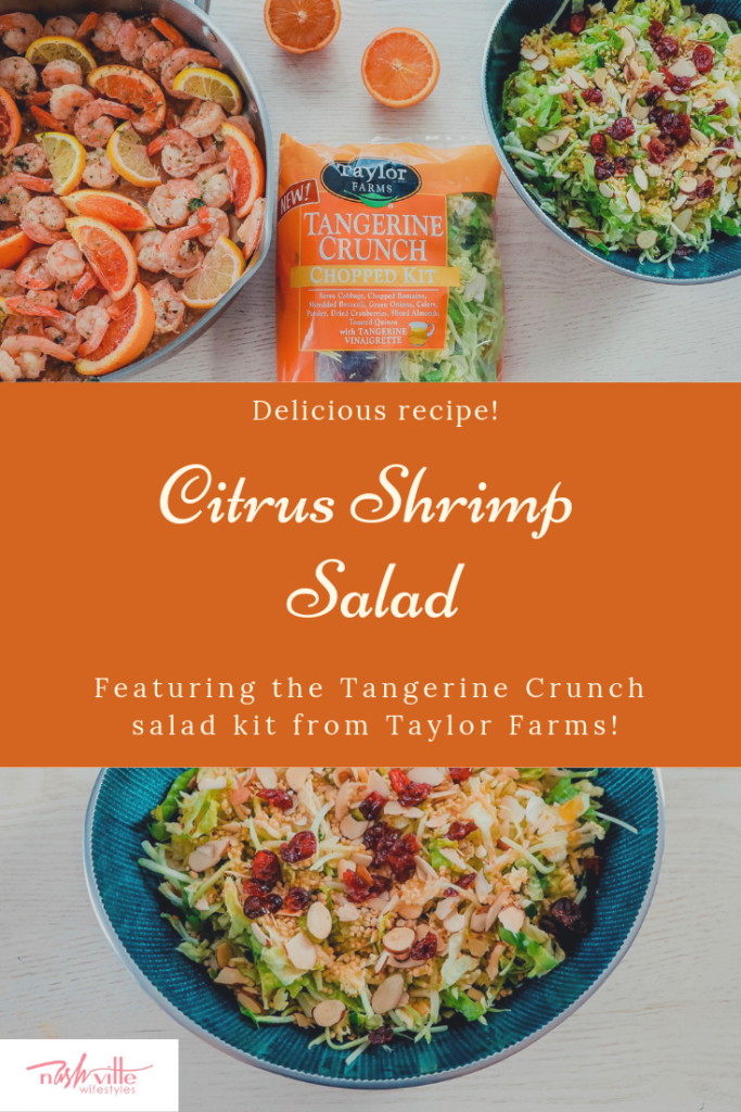 Citrus Shrimp Salad Recipe featured by top US life and style blog Nashville Wifestyles | Nashville Wifestyles