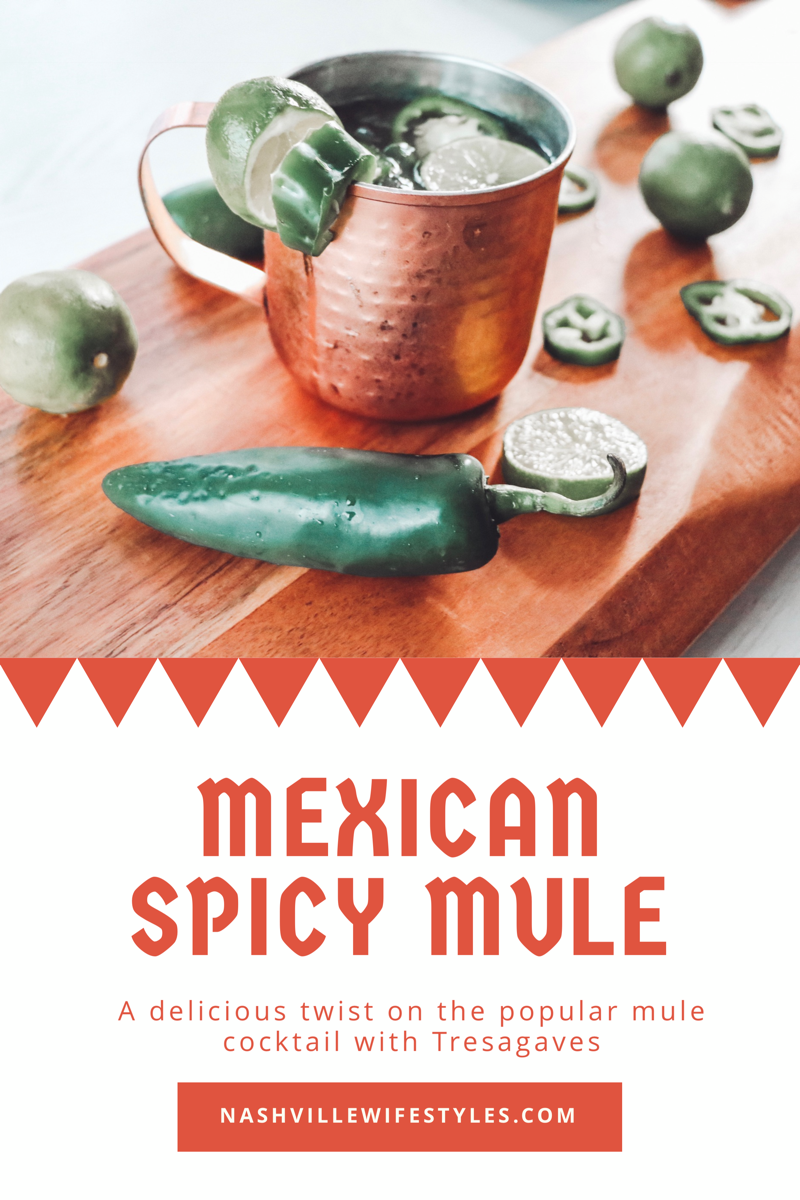 SPICY MEXICAN MULE RECIPE