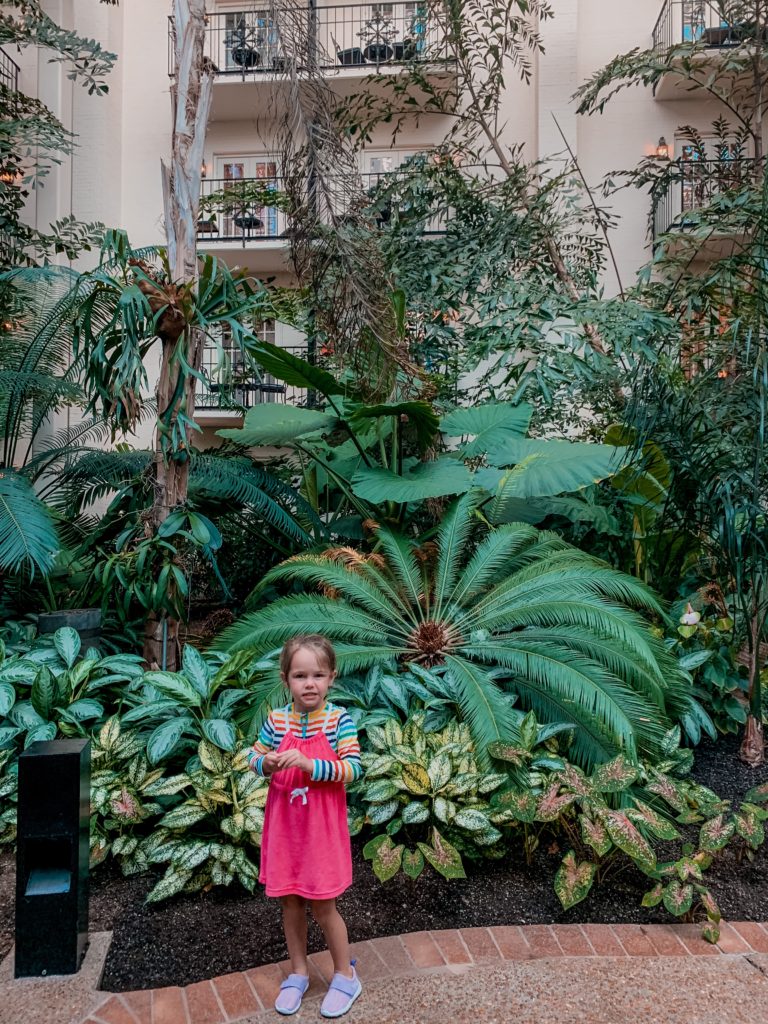 Soundwaves Water Park by popular Nashville blog, Nashville Wifestyles: image of a little girl wearing a rainbow stripe rash guard and pink coverup while standing in front of a palm tree. 